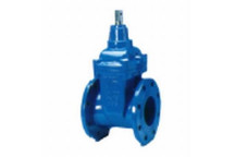 GATE VALVE RSV FLANGED 150mm T/16 CI LHC CAP TOP
